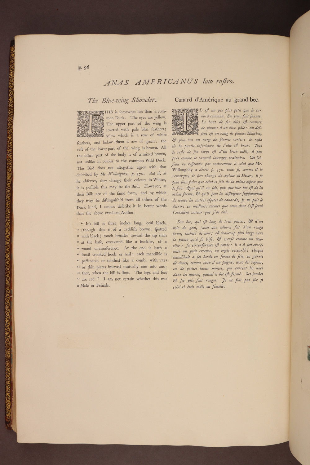 Page 96